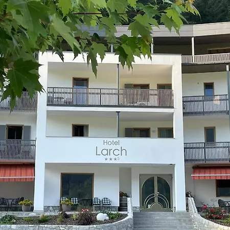 Larch
